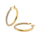 SHINY HOOPS (Big)