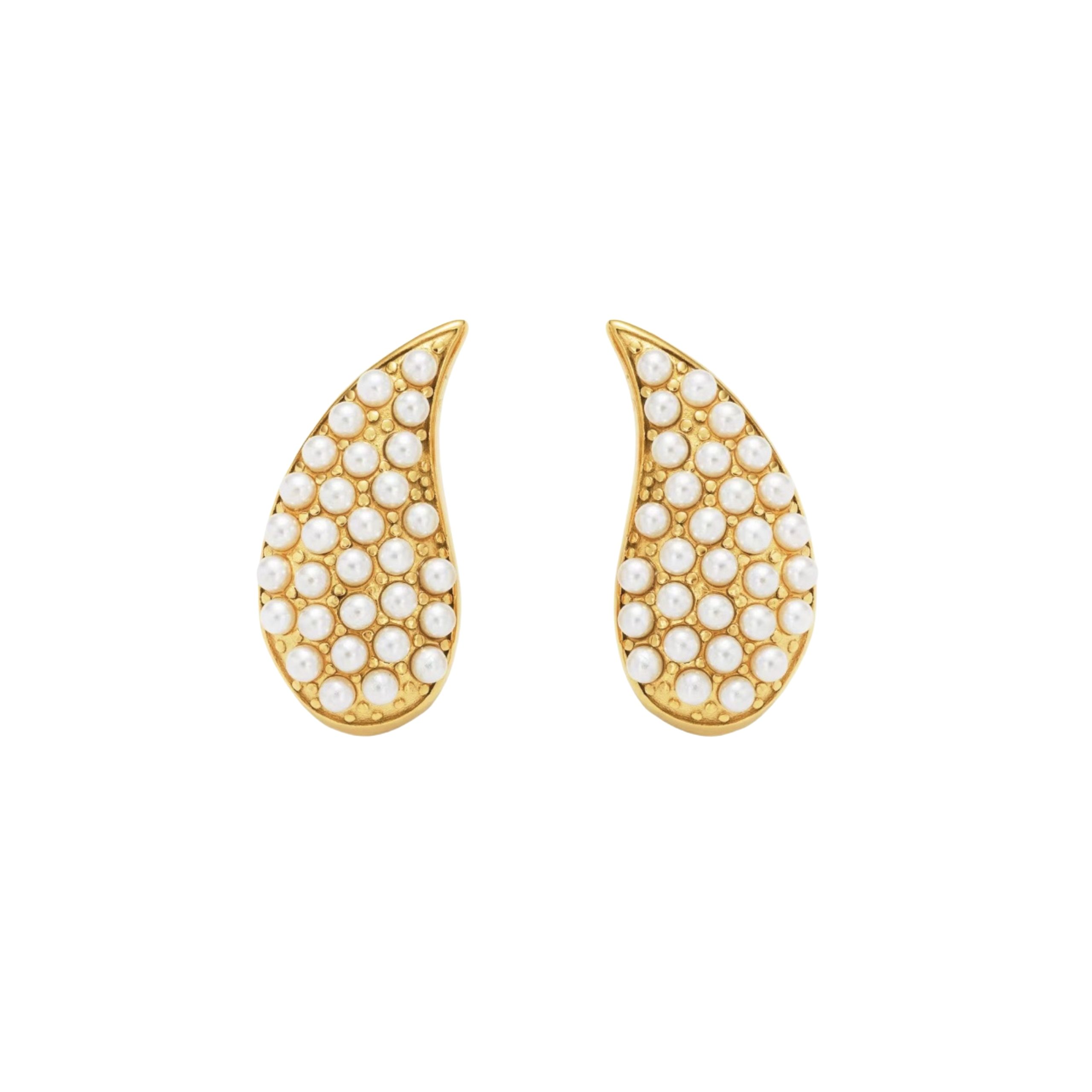 7BF567E9-E2CF-4E31-BF66-10C1EB01EE87 NOOF EARRINGS - Image 1